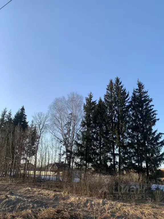 Участок в Ивановская область, Шуйский район, с. Китово  (10.0 сот.) - Фото 1