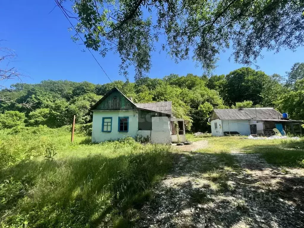 Участок в Краснодарский край, Геленджик городской округ, с. ... - Фото 2
