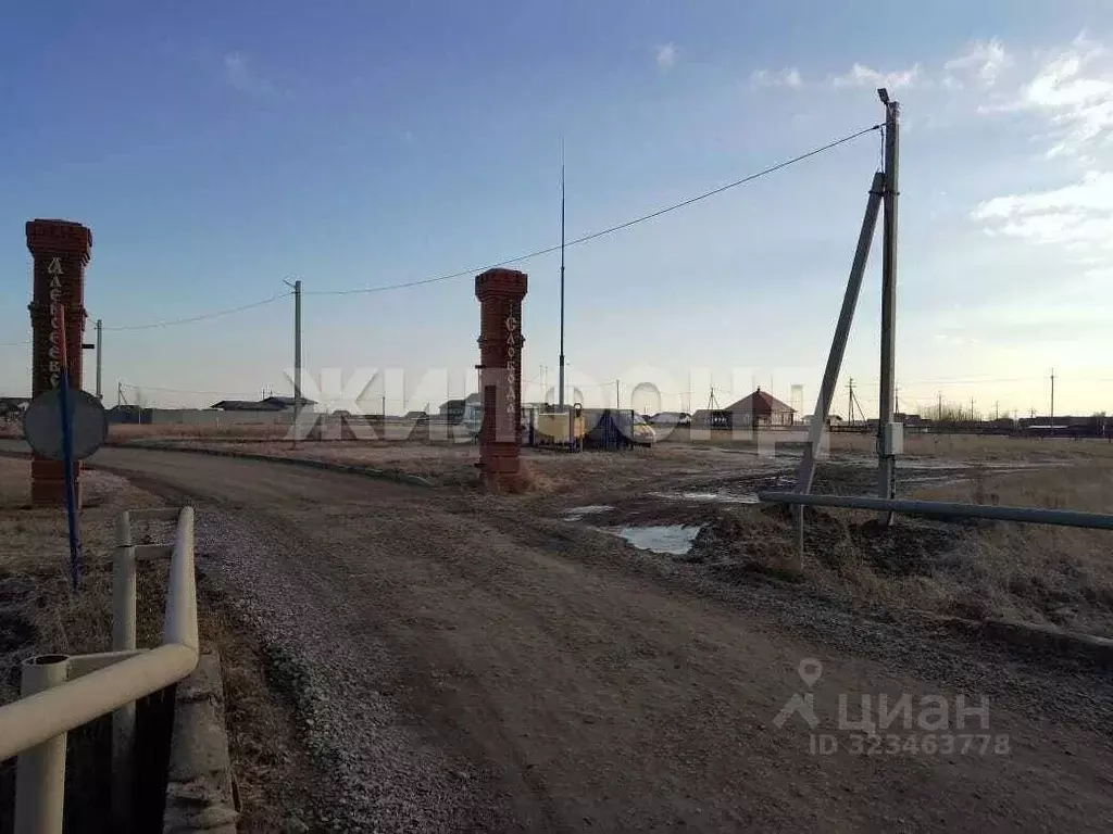 Участок в Новосибирская область, Новосибирский район, Толмачевский ... - Фото 1
