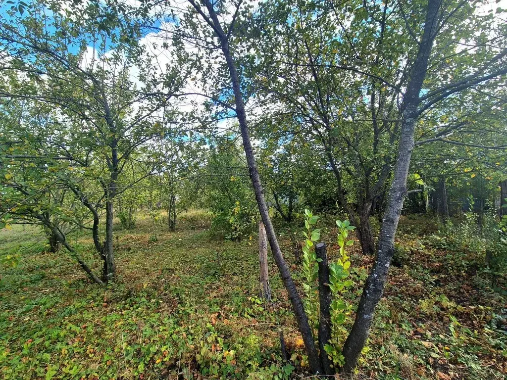 Дом в Воронежская область, Воронеж Луговая ул., 74 (49 м) - Фото 2