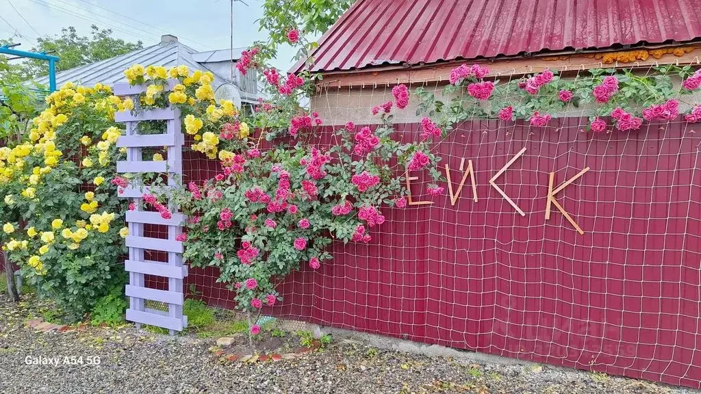 Дом в Краснодарский край, Ейск ул. Павлова, 218 (75 м) - Фото 1