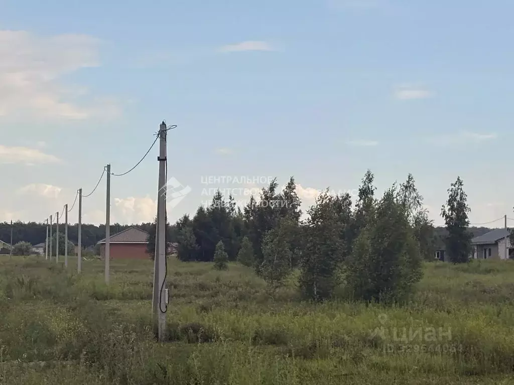 Участок в Рязанская область, Рыбное  (8.0 сот.) - Фото 1