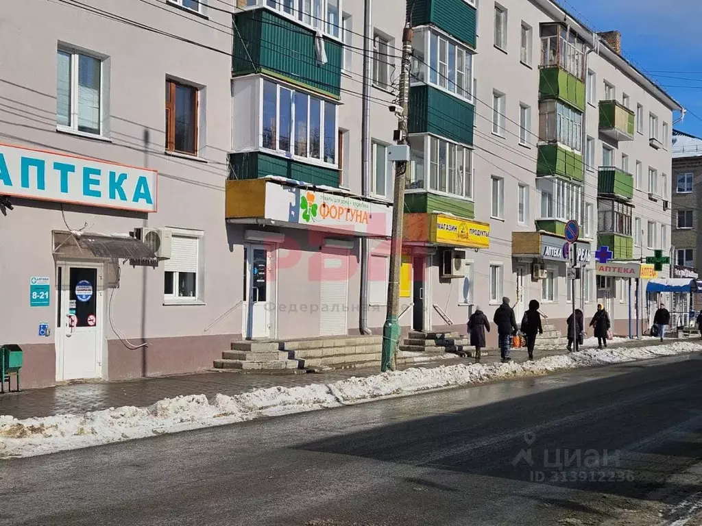 Торговая площадь в Пензенская область, Пенза ул. Попова (127 м) - Фото 1