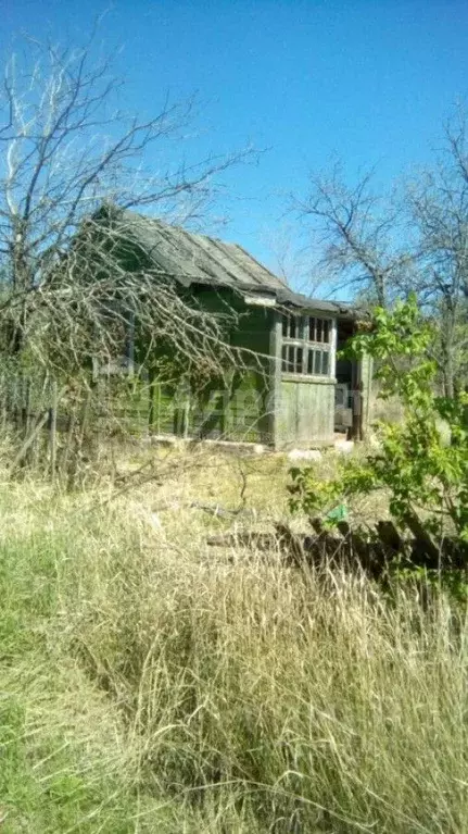 Дом в Волгоградская область, Волгоград Восход СНТ,  (45 м) - Фото 1