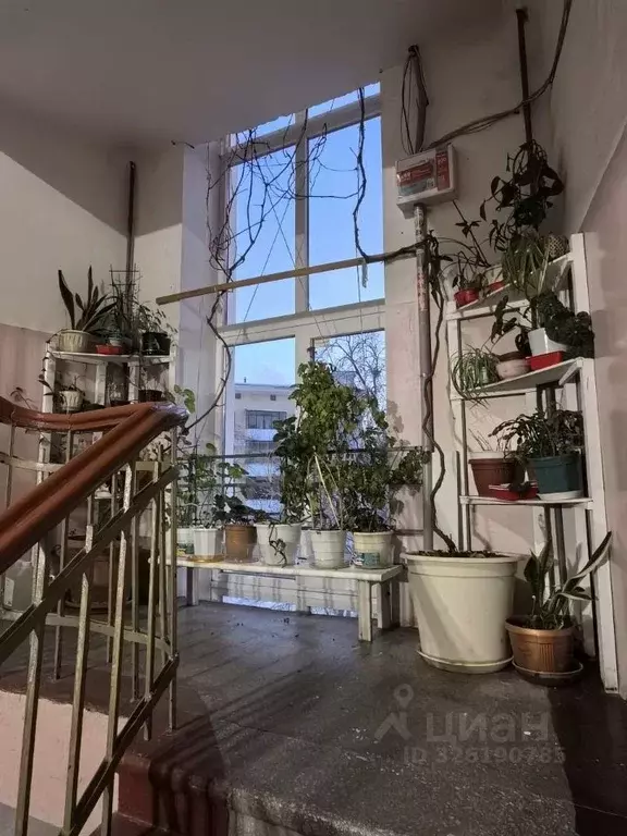 2-к кв. Свердловская область, Екатеринбург ул. Мира, 38 (51.1 м) - Фото 2