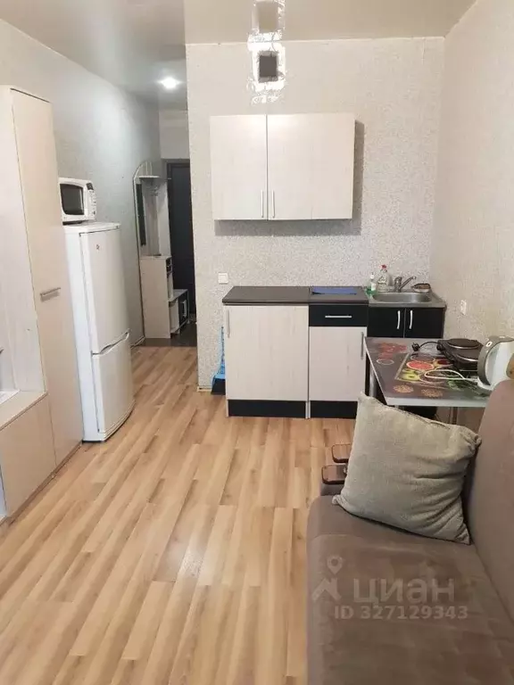 Студия Новосибирская область, Новосибирск Первомайская ул., 230 (24.0 ... - Фото 2