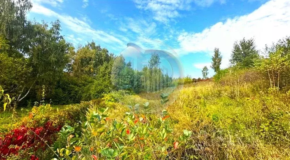 Участок в Московская область, Ленинский городской округ, д. Дальние ... - Фото 0