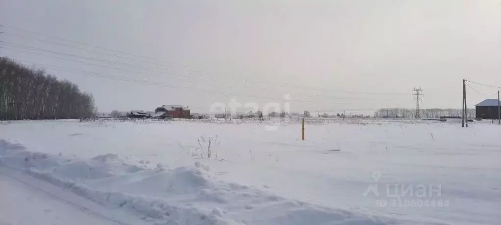 Участок в Башкортостан, Чишминский район, с. Енгалышево  (14.96 сот.) - Фото 2