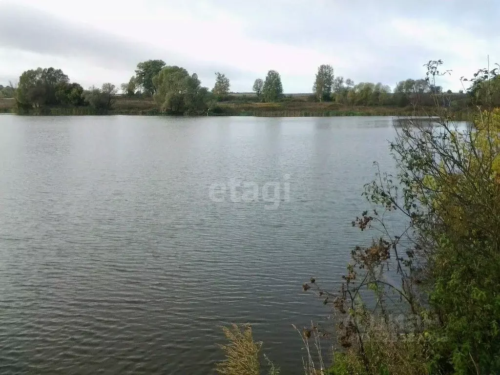 Участок в Брянская область, Карачевский район, Вельяминовское с/пос, ... - Фото 1