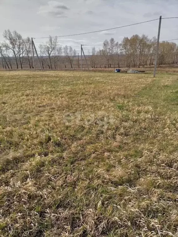 Участок в Алтайский край, Барнаул городской округ, пос. Центральный  ... - Фото 0