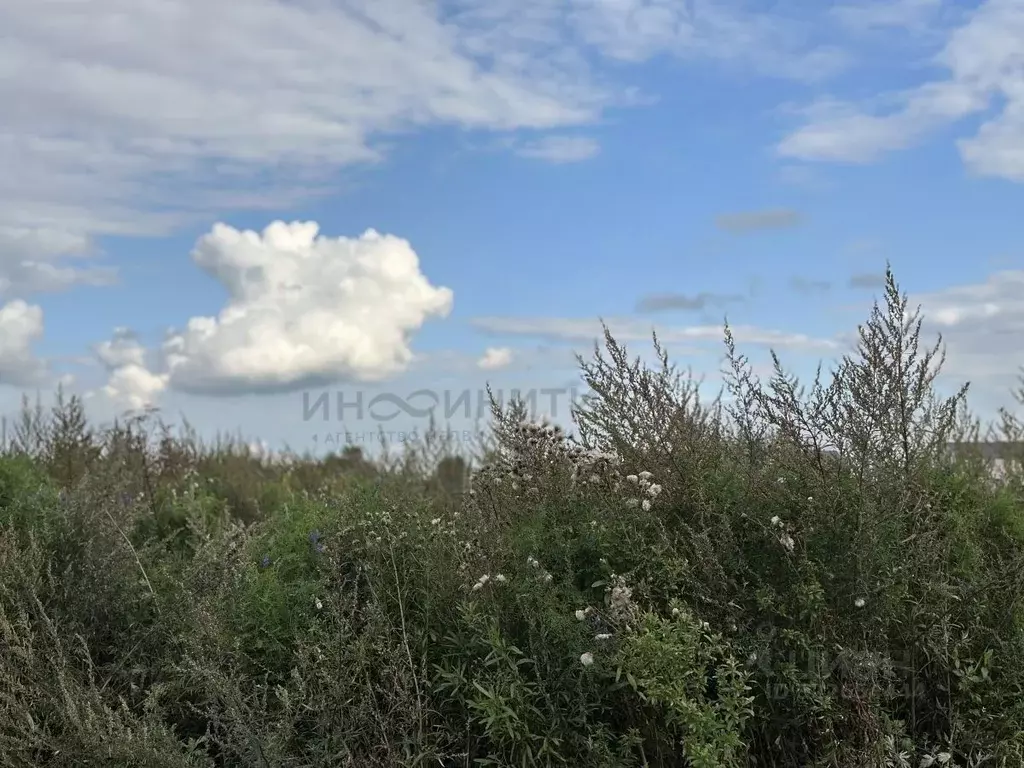 Участок в Московская область, Раменский муниципальный округ, Усадьба ... - Фото 1