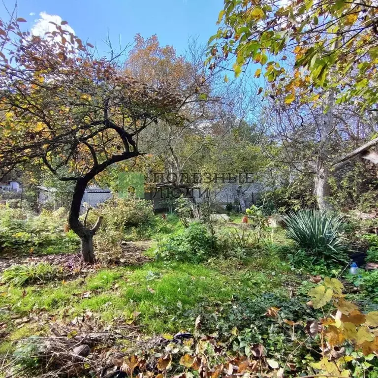 Участок в Севастополь Килен-Балка садоводческое товарищество, 40 (6.6 ... - Фото 1