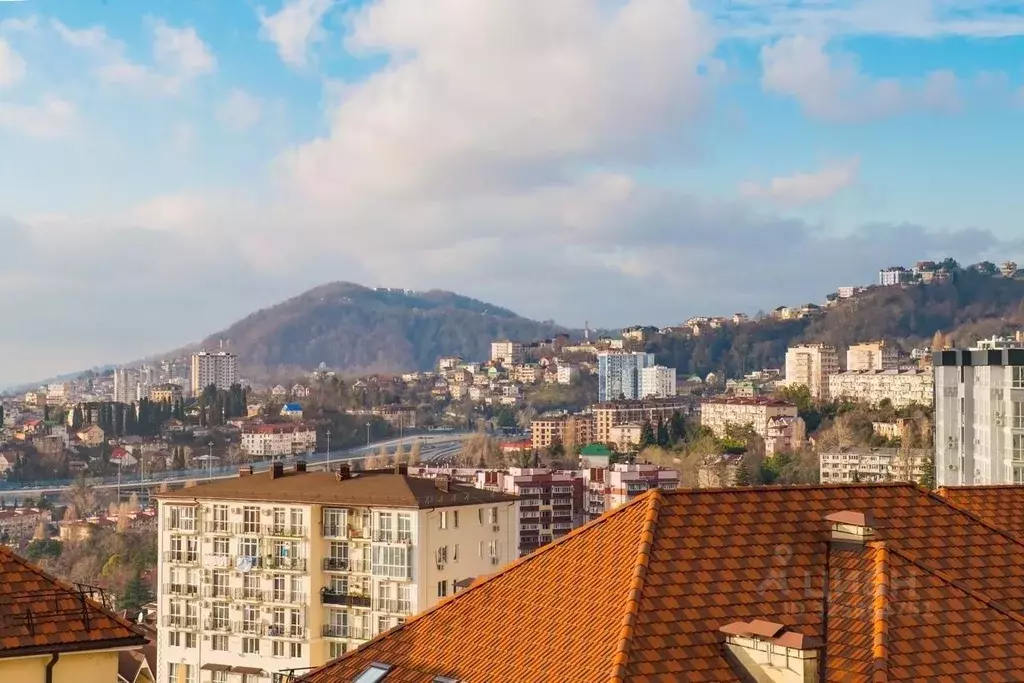 1-к кв. Краснодарский край, Сочи Донская мкр, ул. Пасечная, 45А/1 ... - Фото 1