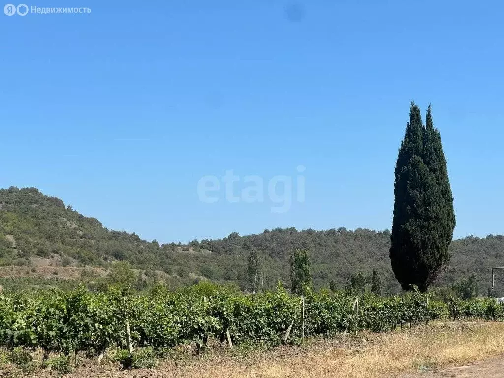 Участок в Республика Крым, муниципальный округ Алушта, село Нижняя ... - Фото 2