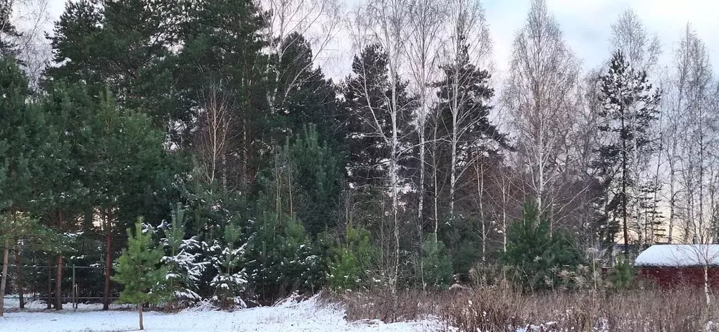 Участок в Московская область, Ступино городской округ, Светлозерье кп  ... - Фото 1