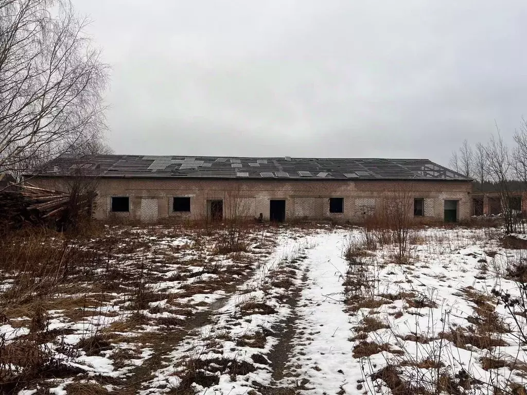 Участок в Архангельская область, Плесецк рп  (50.0 сот.) - Фото 1