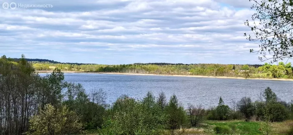 Дом в Псковская область, Новоржевский муниципальный округ, деревня ... - Фото 1