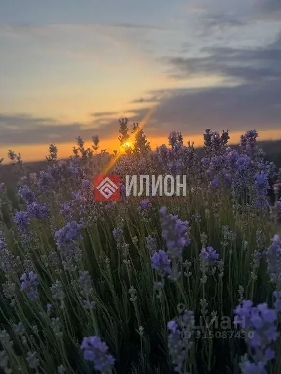 Участок в Севастополь с. Полюшко, пер. Никиты Максименко (4.0 сот.) - Фото 0