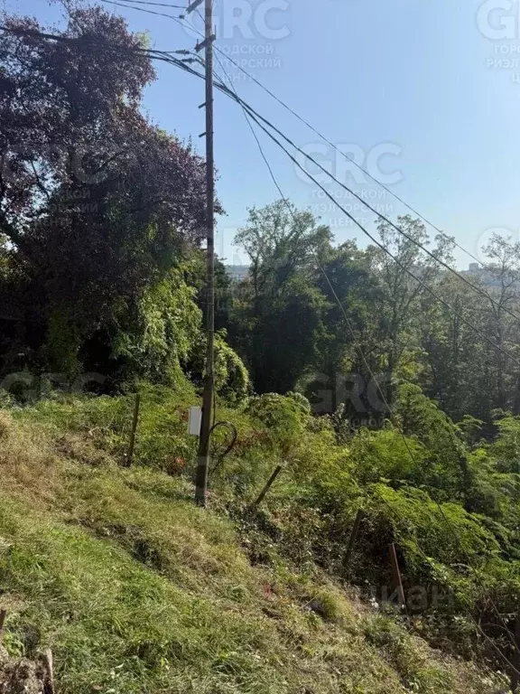 Участок в Краснодарский край, Сочи городской округ, с. Верхний Юрт ул. ... - Фото 1