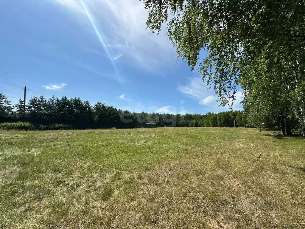 Участок в Ярославская область, Брейтовский муниципальный округ, ... - Фото 1