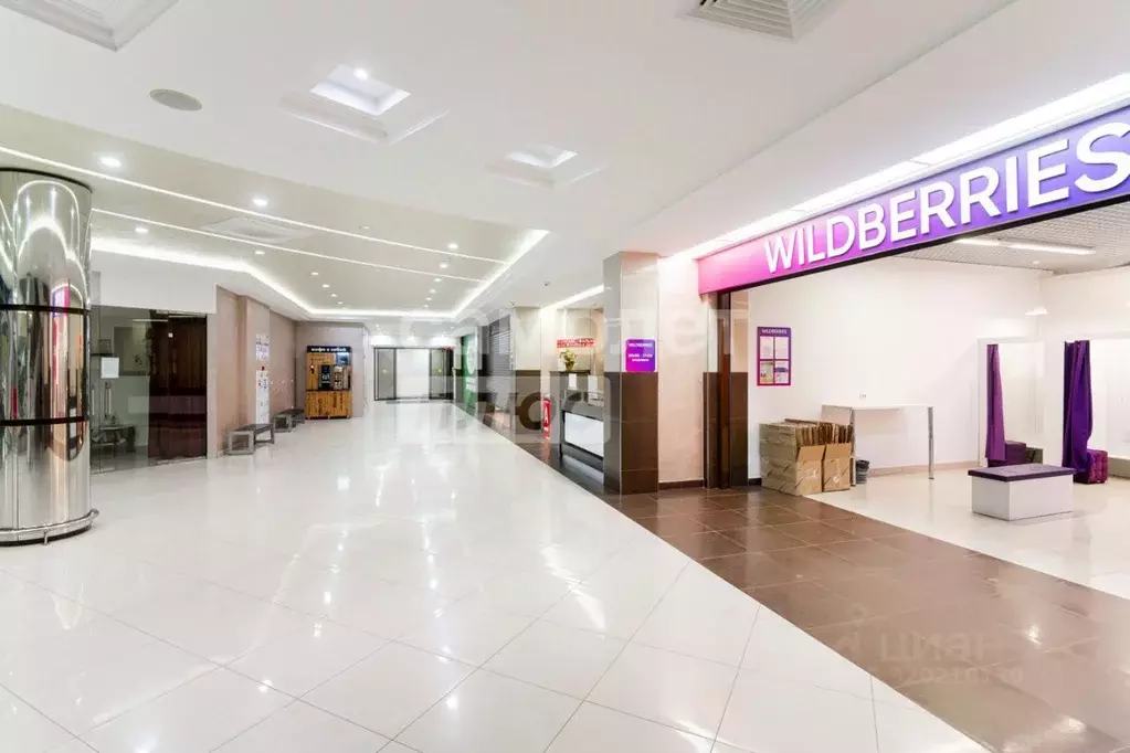Торговая площадь в Омская область, Омск ул. Дианова, 39 (2500 м) - Фото 0