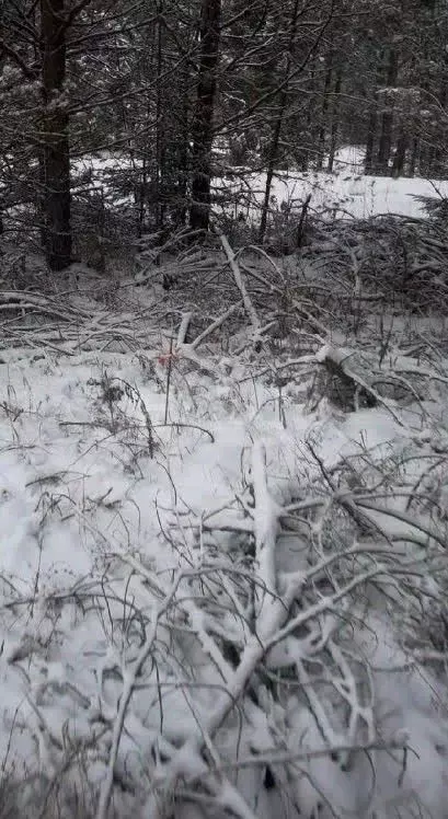 Участок в Свердловская область, Новоуральский городской округ, д. ... - Фото 1