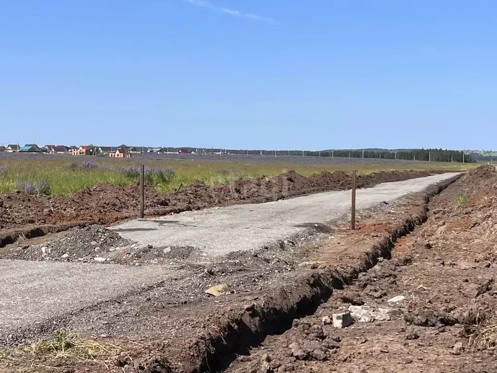Участок в Пермский край, Пермский муниципальный округ, д. Косотуриха ... - Фото 2