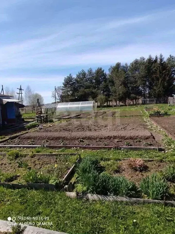 Дом в Ярославская область, Рыбинский муниципальный округ, д. Гридино  ... - Фото 1