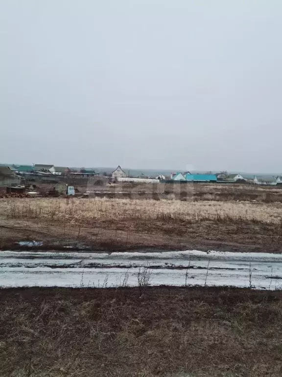 Участок в Саратовская область, Балашовский район, с. Репное ... - Фото 1