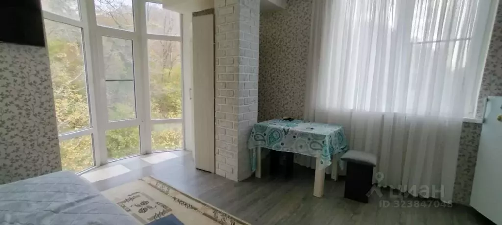 Студия Краснодарский край, Сочи городской округ, с. Краевско-Армянское ... - Фото 1