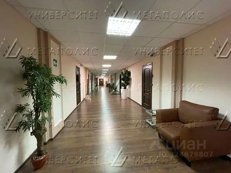 Торговая площадь в Москва Большая Садовая ул., 5 (380 м) - Фото 2