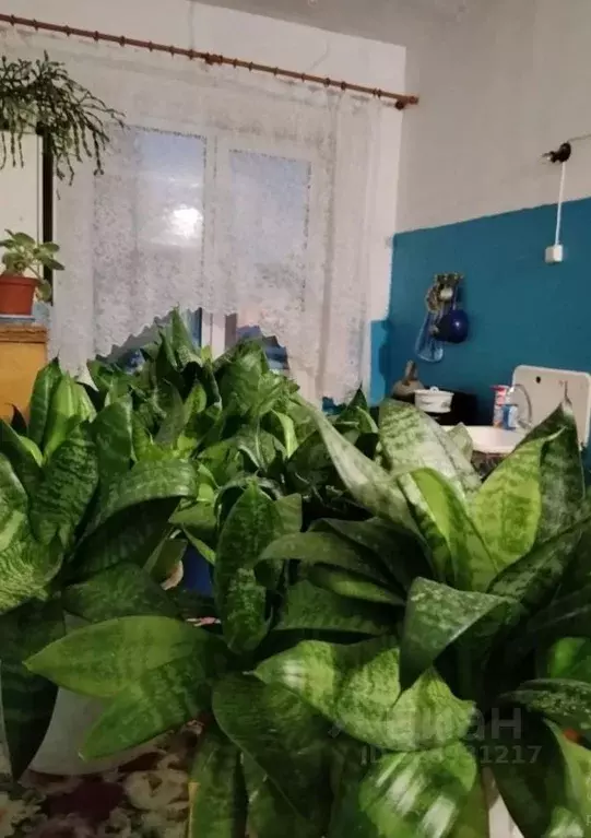 Комната Омская область, Омск ул. Успенского, 14 (28.8 м) - Фото 1