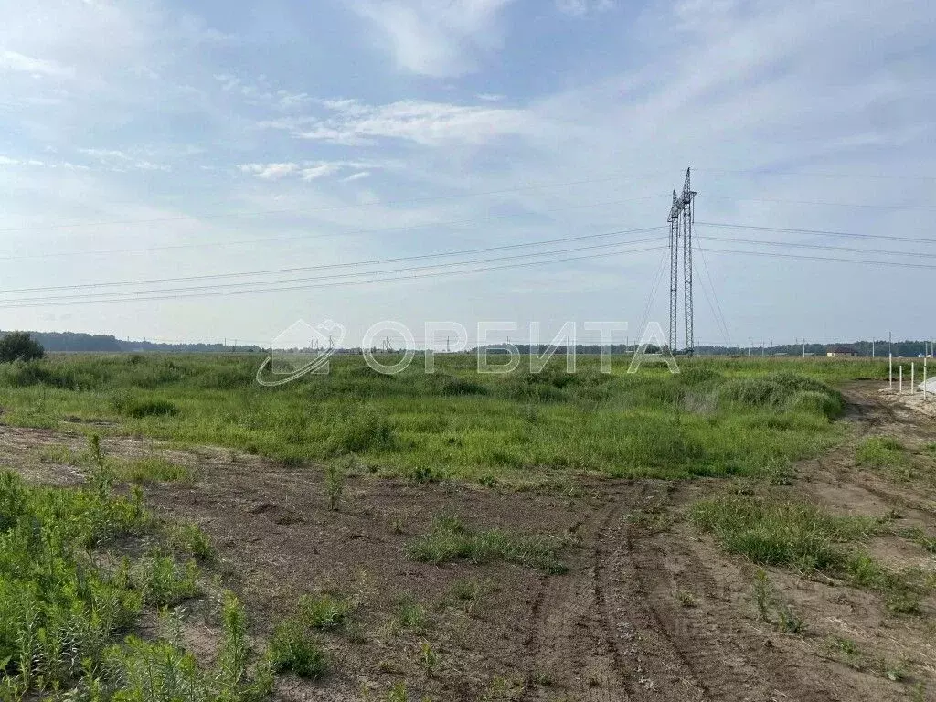 Участок в Тюменская область, Тюменский район, с. Каменка, Завидово кп  ... - Фото 1