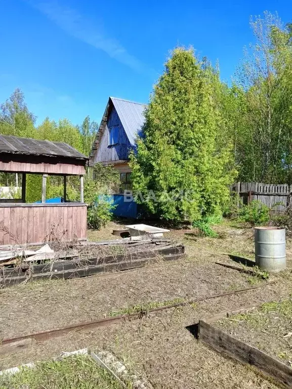 Дом в Ивановская область, Иваново Рассвет СНТ,  (30 м) - Фото 0