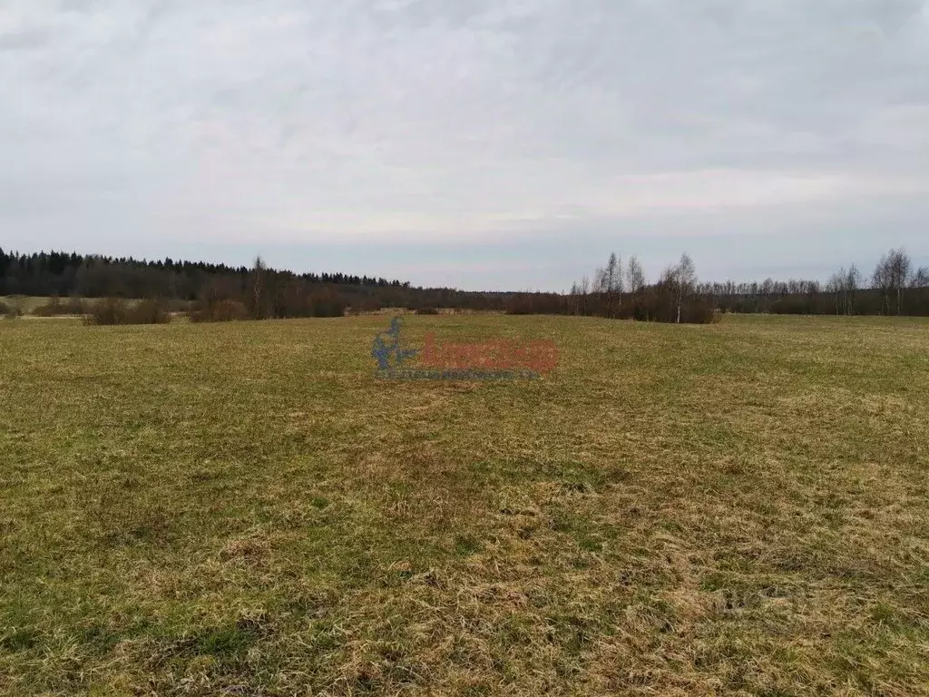 Участок в Ленинградская область, Выборгский район, Приморское ... - Фото 2