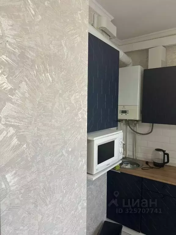 1-к кв. Московская область, Одинцовский городской округ, д. Солманово, ... - Фото 2