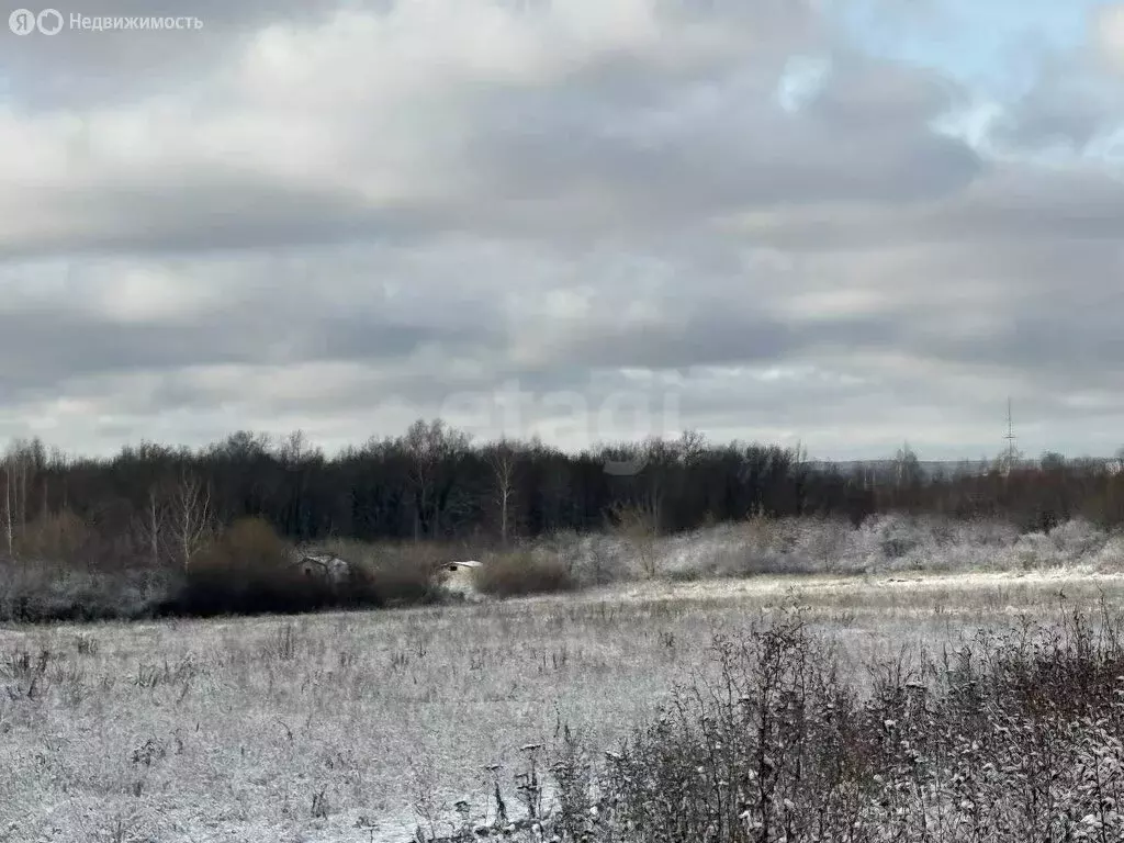 Участок в Саранск, садоводческое товарищество Буревестник (4 м) - Фото 2