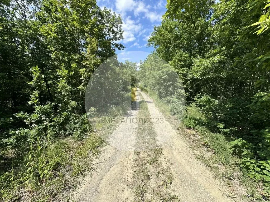 Участок в Краснодарский край, Геленджик муниципальное образование, с. ... - Фото 0