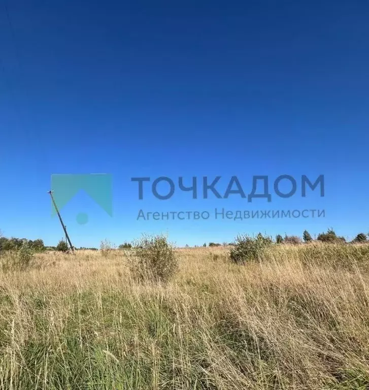 Участок в Ленинградская область, Гатчинский муниципальный округ, д. ... - Фото 2