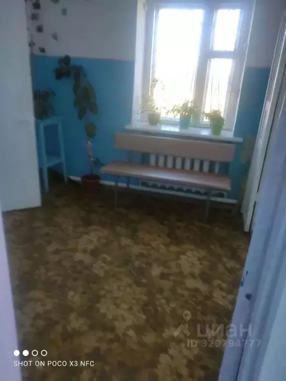 Помещение свободного назначения в Курганская область, Сафакулевский ... - Фото 2