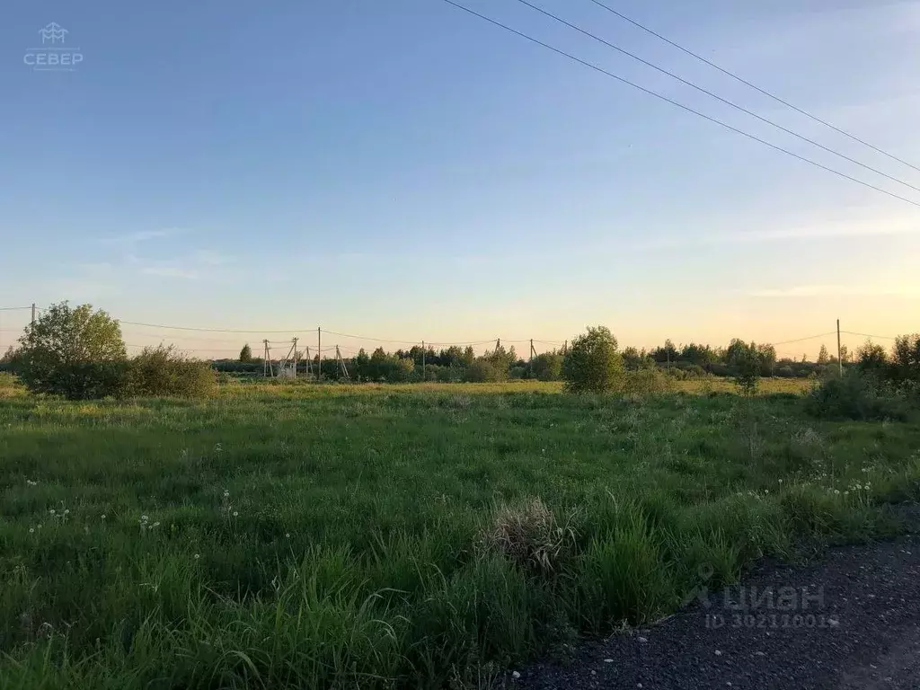 Участок в Новгородская область, Новгородский район, Савинское с/пос, ... - Фото 0