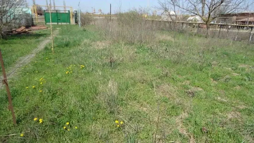 Участок в Ростовская область, Азовский район, Елизаветинское с/пос, ... - Фото 1