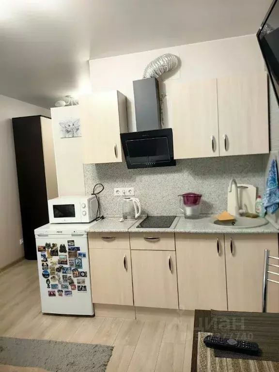 Студия Рязанская область, Рязанский муниципальный округ, с. Дядьково ... - Фото 2