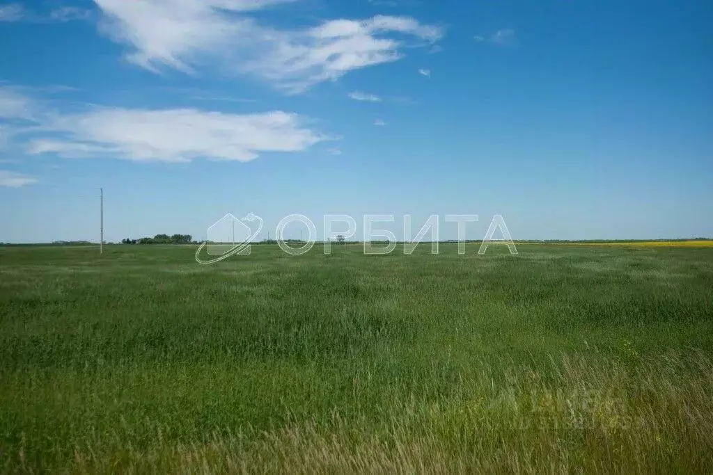 Участок в Тюменская область, Тюменский район, д. Елань  (5.0 сот.) - Фото 0