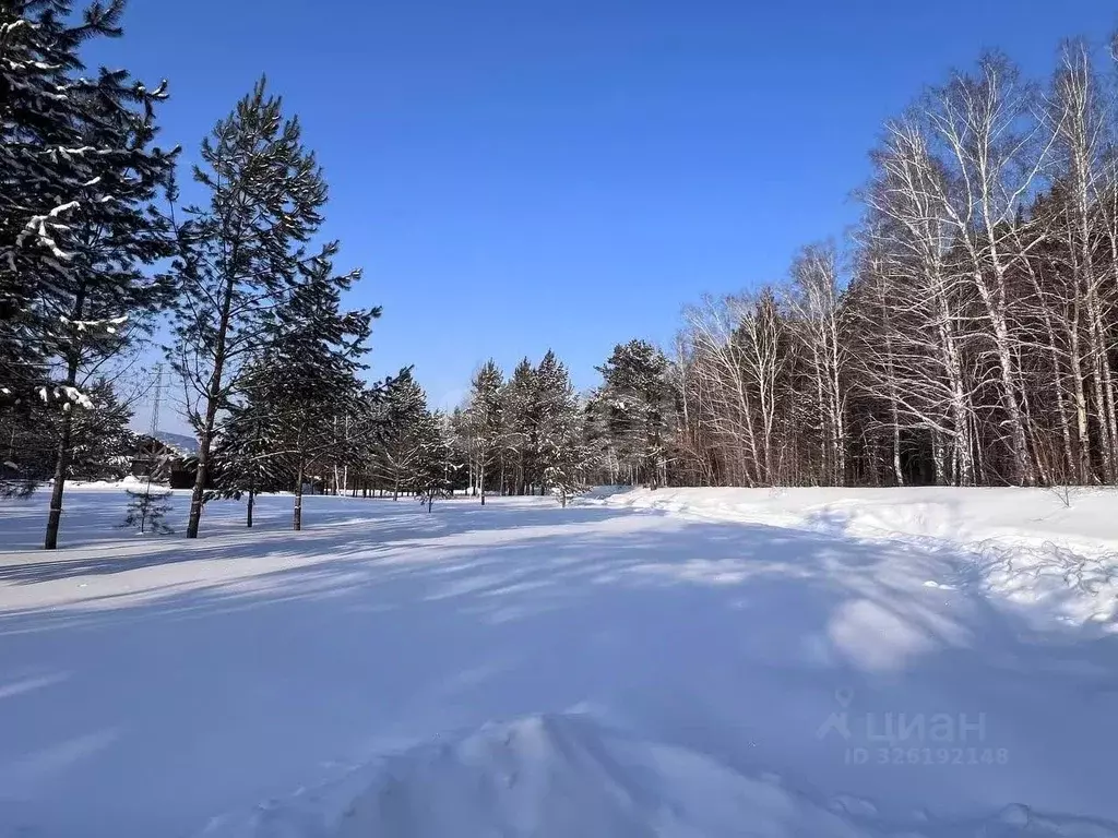 Участок в Новосибирская область, Новосибирский район, Барышевский ... - Фото 1
