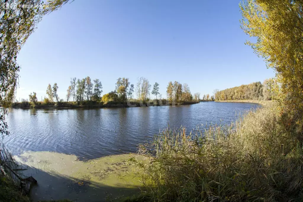 Участок в посёлок Приобский, Колыванское шоссе (6.1 м) - Фото 1