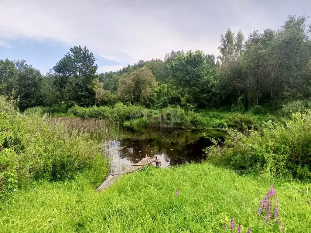 Участок в Псковская область, Пушкиногорский район, Велейская волость, ... - Фото 1