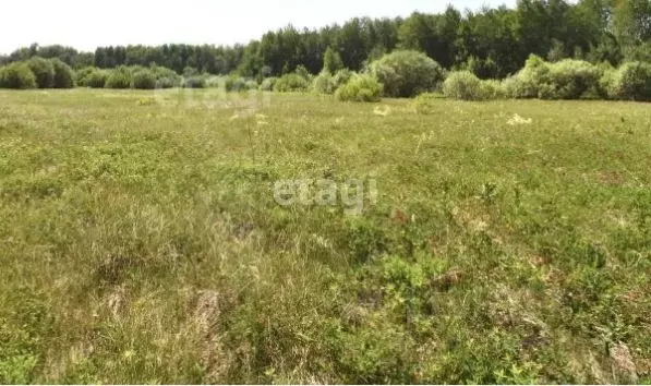 Участок в Амурская область, Благовещенск ул. Цветочная (10.0 сот.) - Фото 0