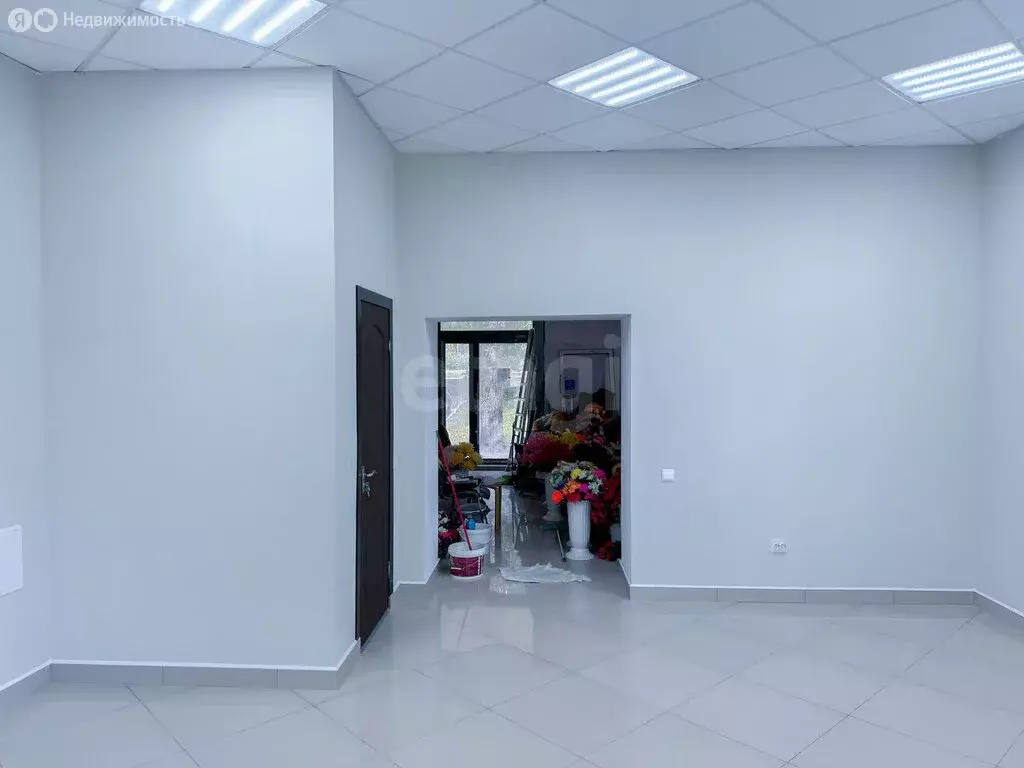 Офис (59.4 м) - Фото 1