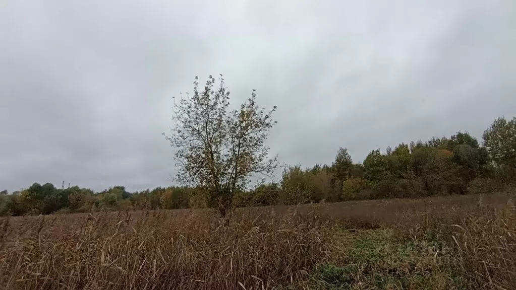 Участок в Московская область, Шатура  (30.0 сот.) - Фото 1